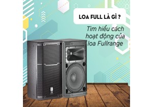 Loa Full là gì? Tìm hiểu loa fullrange hoạt động ra sao?