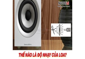 Thế nào là độ nhạy của loa ?