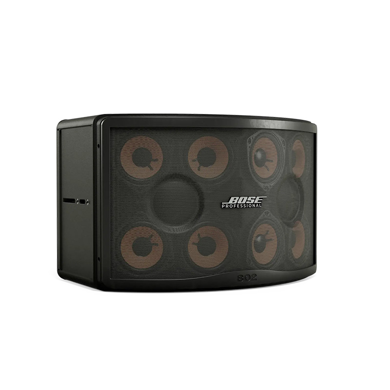 Loa Bose 802 V