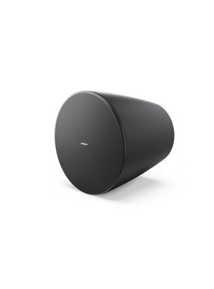 Loa Bose DesignMax DM10P-SUB