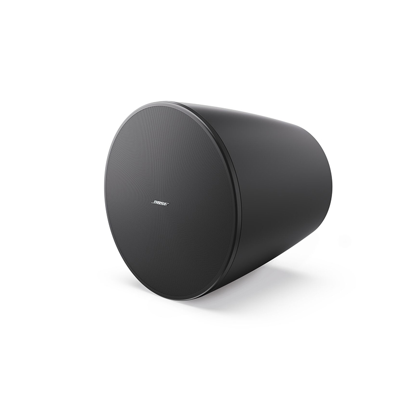 Loa Bose DesignMax DM10P-SUB