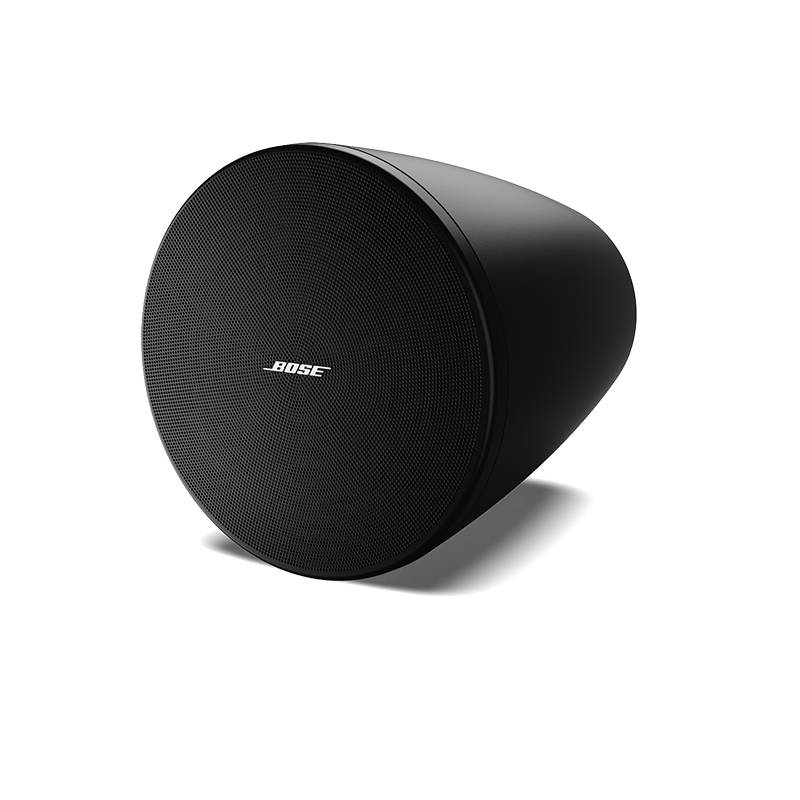 Loa Bose DesignMax DM5P