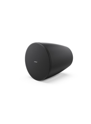 Loa Bose DesignMax DM6PE