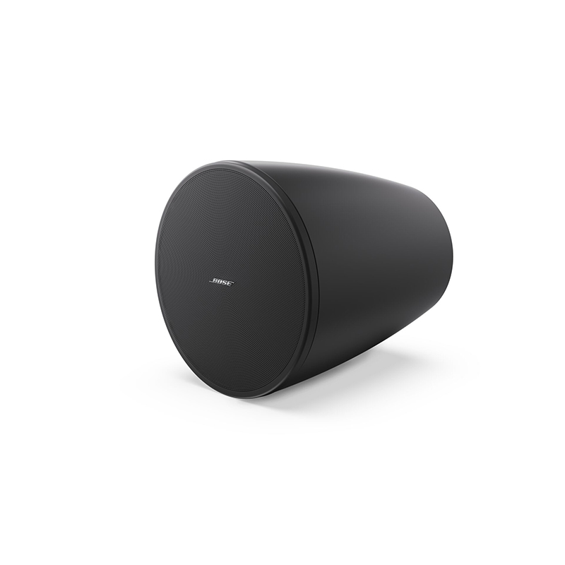 Loa Bose DesignMax DM6PE