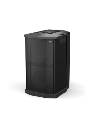 Loa Bose F1 Subwoofer Chính Hãng