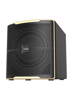 Loa Sub Paramax Z-SUB