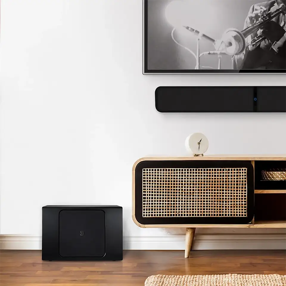 loa subwoofer không dây Bluesound Pulse Sub+