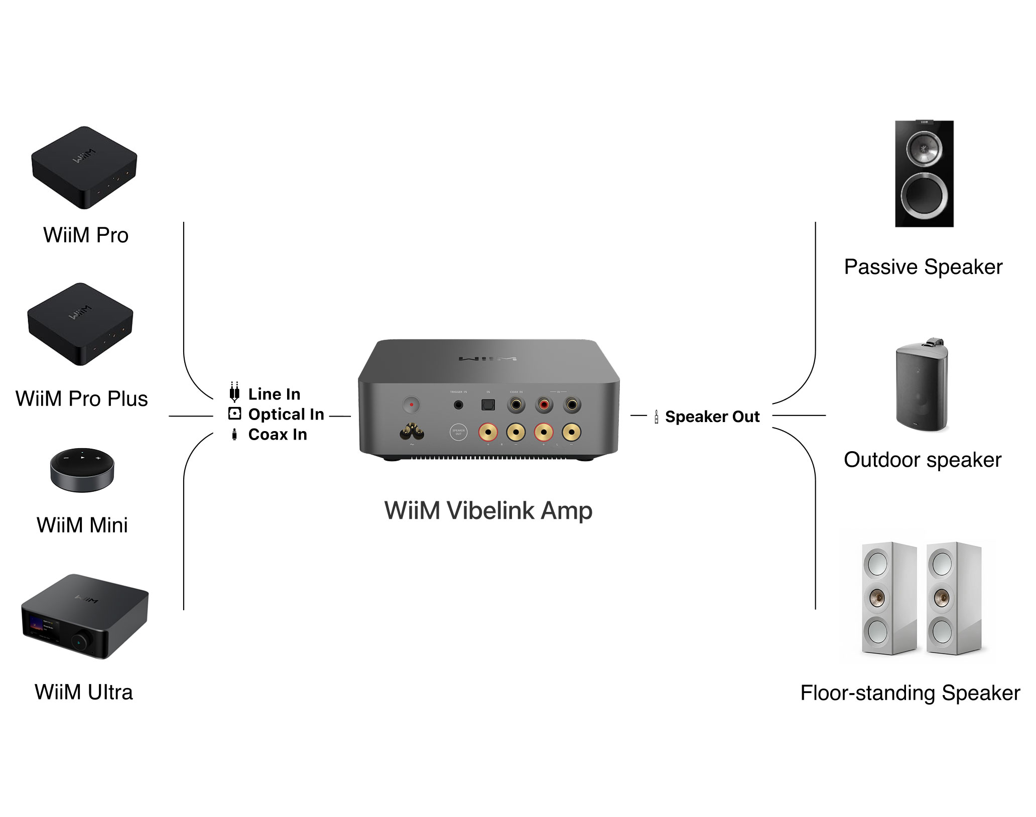 Amply-WiiM-Vibelink-Amp-gia-tot-nhat.jpg